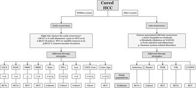 Adjuvant therapy following curative treatments for hepatocellular carcinoma: current dilemmas and prospects